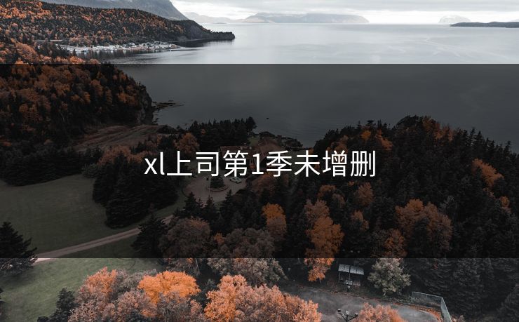 xl上司第1季未增删 xl上司第1季未增删